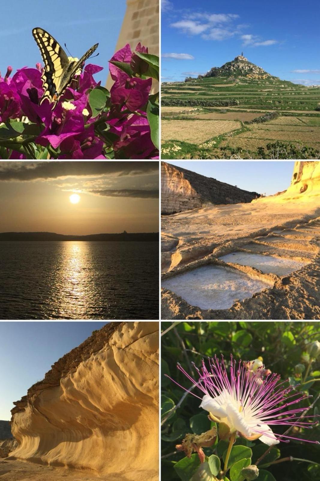Ta' Giljan B&B Gozo Xagħra Eksteriør billede